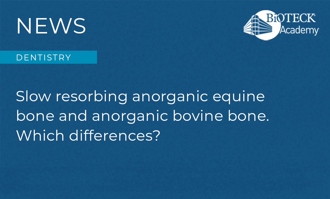 Calcitos osso equino anorganico